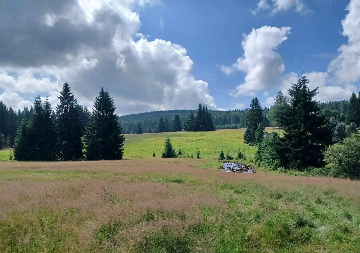 16909716 20f7 4428 aeab e69fd2d6b751