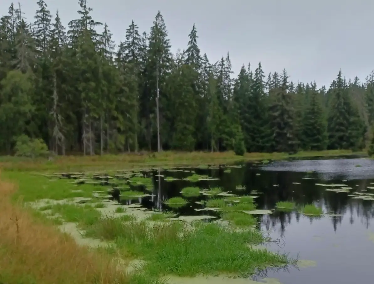 5fcaa4ea 3953 4e1f a502 a76d2e22756f